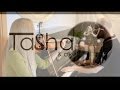 Tasha & Co. (Remember) - The Age of love 