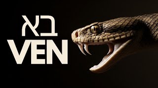 BO — La libertad no empieza cuando sales, empieza cuando entras