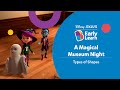 A Magical Museum Night Types Of Shapes DBEL KG