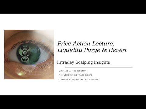 ICT Price Action Lecture:  Liquidity Purge & Revert