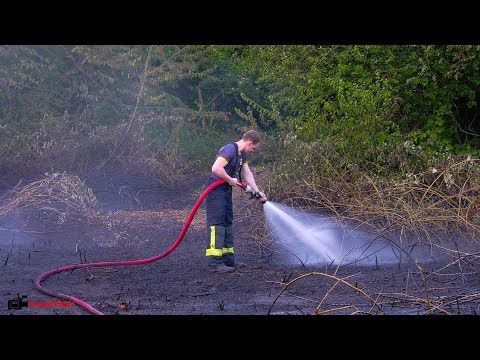 Flächenbrand in Köln Humboldt-Gremberg: Ca. 200 m² Brachland in Flammen