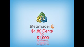 I Traded $1.82 Cents to $1000 | BEGINNERS GUIDE | DAY 2