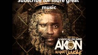 08 - Akon Be More Careful feat E-40.wmv