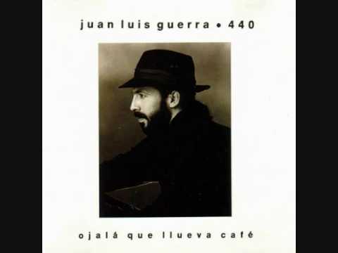 Juan Luis Guerra y 440 Reina Mia.wmv