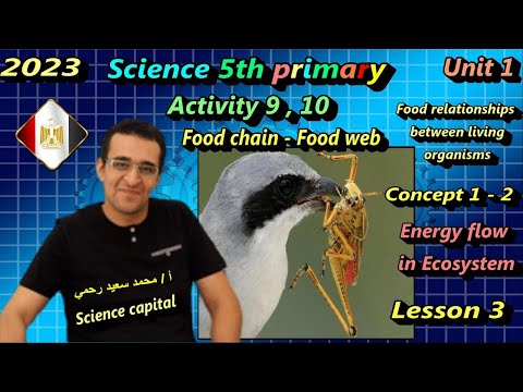 , title : 'الصف الخامس الابتدائي - علوم - grade 5 - science - المنهج الجديد - Activity 9 - food chain - web'