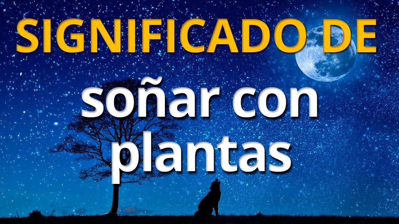 Qué significa soñar con plantas 💤 Interpretación de los Sueños