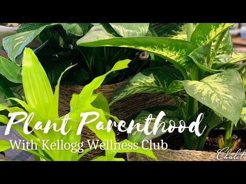 , title : 'Plant Parenthood with Kellogg Wellness Club Virtual Learning 3/09/21