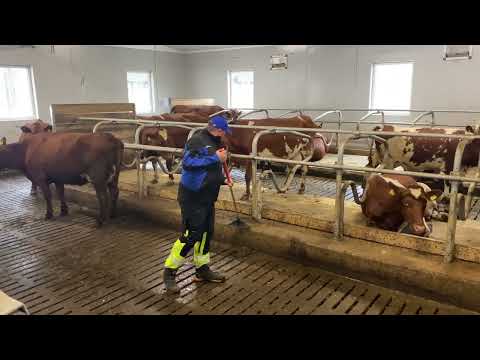 VMS 310-modellen - bedre på nesten alt