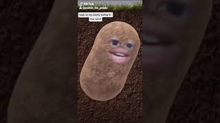 I&#39;m a potatooo TikTok by Pebble the Potato