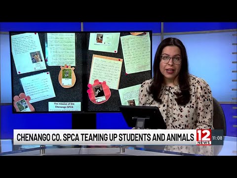 Chenango Spca