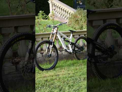 The Chaos Bringer 😱 2023 Canyon Torque DH CLLCTV MX “Kaos Theory” #downhill #dream #subscribe