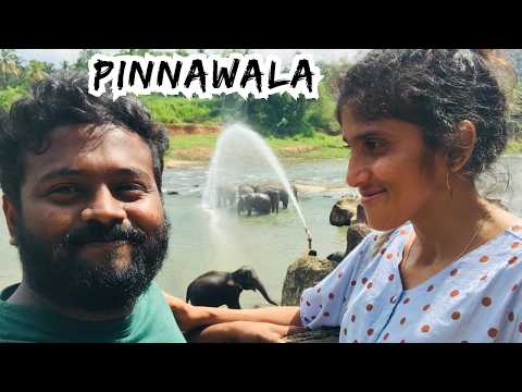 Pinnawala