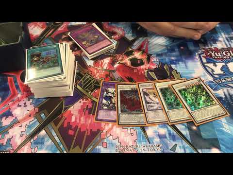 Yu-Gi-Oh! YCS Atlanta 2018 Top 32 Deck Profile | David Huss | 60-Card Lightsworn Zombie Dino