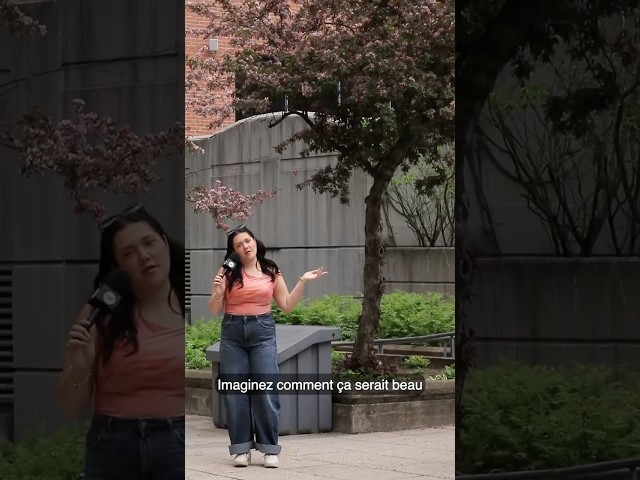Terrasses du campus | La minute UQAM