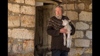 Trailer Preview Image