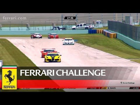 Ferrari Challenge North America – Homestead-Miami, Coppa Shell Race 1