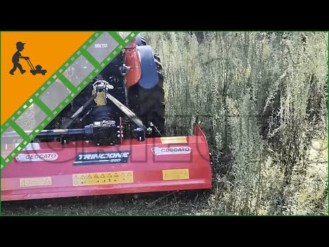 Ceccato Trincione 290 Tractor Flail Mower - 140 cm working width - 24 hammers - Customer's video