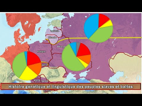 Histoire génétique et linguistique des Slaves et des Baltes