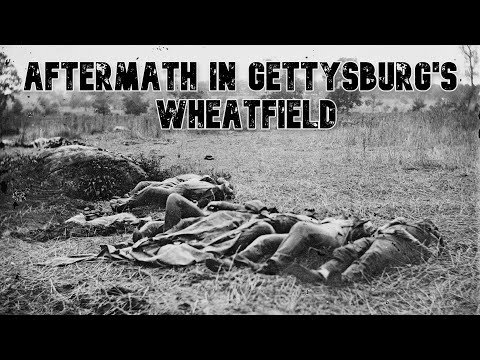 On Tour - Battlefield Medicine in Gettysburg's Wheatfield