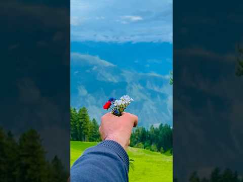 Breathtaking Bahrain Swat Valley Mountain Flowers 🌺 | Nature's Kaleidoscope in the Heart ❤️