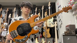 Video thumbnail for 【Vintage】MusicMan / 1978 StingRay Pre Ernie 【Test Play】 by Bass Sound Maniac