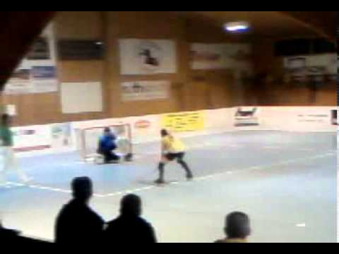 rhc friedlingen rollhockey