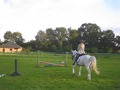 Training Teil 3   Kreuzchen aus dem Trab   15 09 2017   MVI 9933