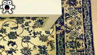 ¿Puedes Ver Que Está Camuflado En Estas Imágenes? - RETO