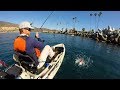 Kayak Fishing For White Sea Bass Eating Raw Fish West Coast Field Trips With Robert Field