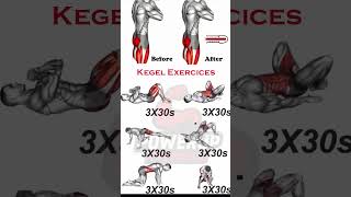 Download lagu SIX BEST KEGEL EXERCISES FOR MEN #homeworkout #kegelexercise #sports mp3 Download lagu SIX BEST KEGEL EXERCISES FOR MEN #homeworkout #kegelexercise #sports mp3
