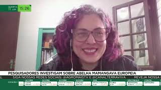 Miniatura do vídeo
