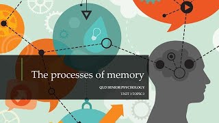 The Processes of Memory