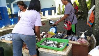 preview picture of video 'Fresh Ocean Fish Philippines Market'