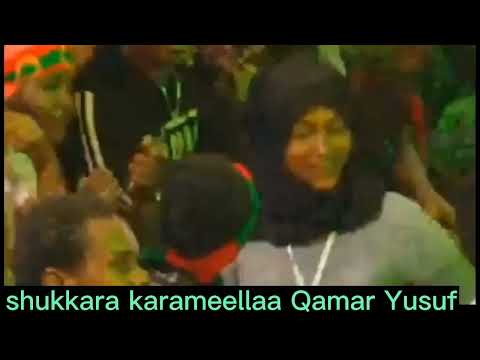 Amalli kee gaarii bareedduu dadar