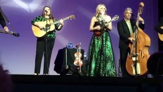 Heartbreaker's Alibi- Rhonda Vincent