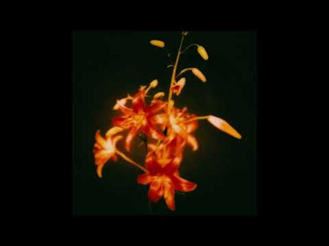 [FREE] Limsa d'Aulnay x ISHA Type Beat - "Till The End"