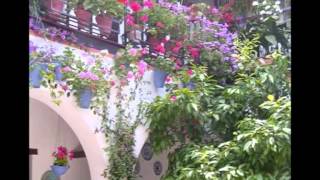 NINFA ARTEMIS * Fantasia* - portuguese