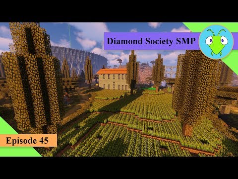 Lessons Learned and Moving Forward ♥ Ep. 45 ♥ Diamond Society