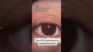 Growing my lashes back after I pulled them out 🫣 #lashserum #lashgrowth