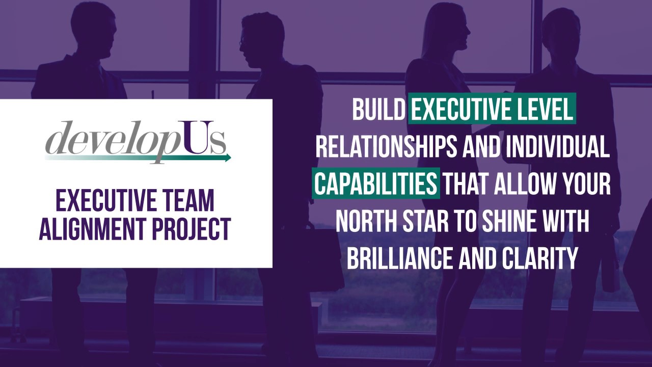 Executive Team Alignment Project | developUs