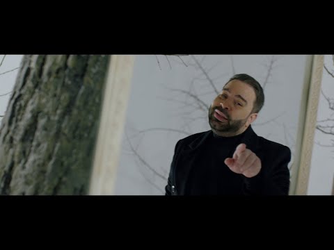 Florin Salam – Anii, anii Video