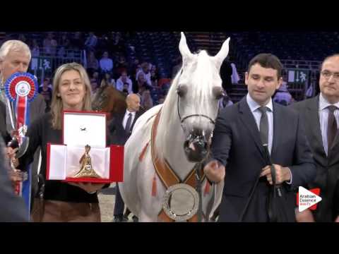 3rd place-N.62 FM GLORIAA - Paris 2015 - Senior Females Championship (Class CM9)