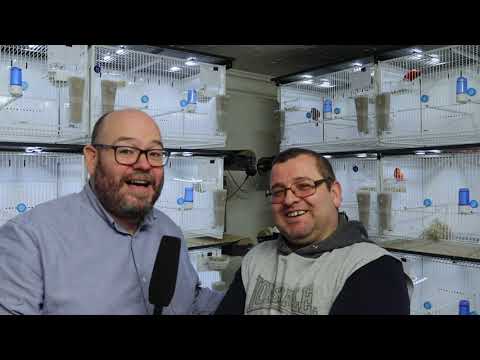 The Canary Room visits Julians Canary Birdroom