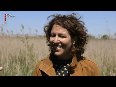 Mijn Mooiste Plek: Vijfheerenlanden - za 15 jun 2019, 17.25 uur [RTV Utrecht]