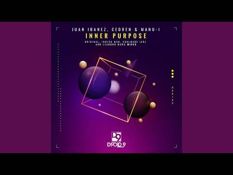 Inner Purpose (Indigo Man Remix)