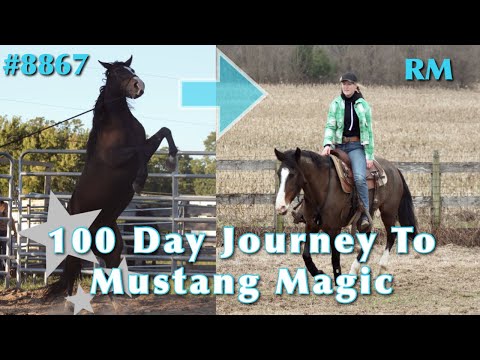 RM’s 100 Day Journey To Mustang Magic | 2023 Mustang Magic Trainers Challenge