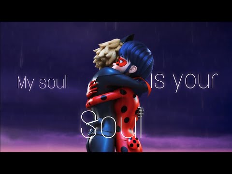 Ladybug and Chat noir//My soul is your soul {AMV}