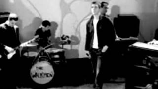 The Walkmen - The Rat video