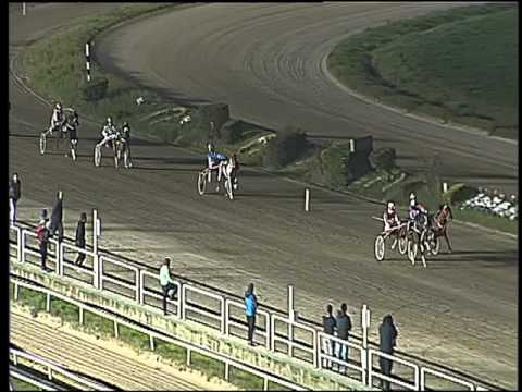 Trotto 28/02/2016 - corsa Minitrotter