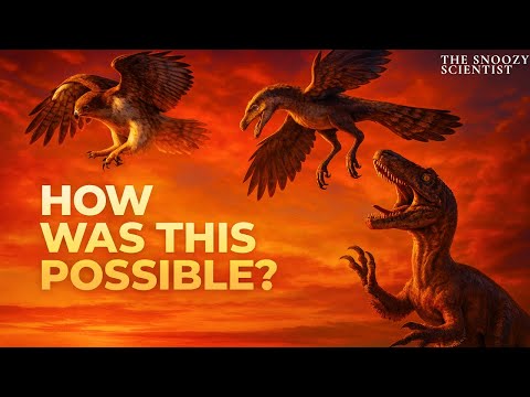 How Dinosaurs Became Birds: The Impossible Evolution of Flight
